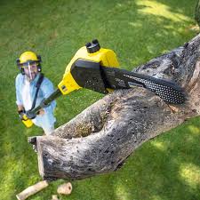Best Soil Testing and Treatment  in Monticello, WI
